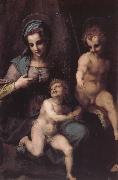 Andrea del Sarto Virgin Mary and Jeusu and John oil painting